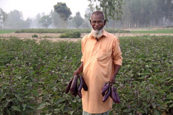 World Food Day: Post-Pandemic Food Security And Resilience In Bangladesh