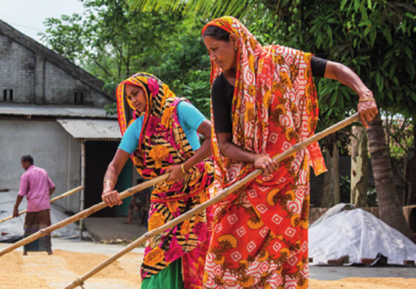 10 Things South Asian Agriculture Needs To Address In The Post-Pandemic Era 10 Things South Asian Agriculture Needs To Address In The Post-Pandemic Era