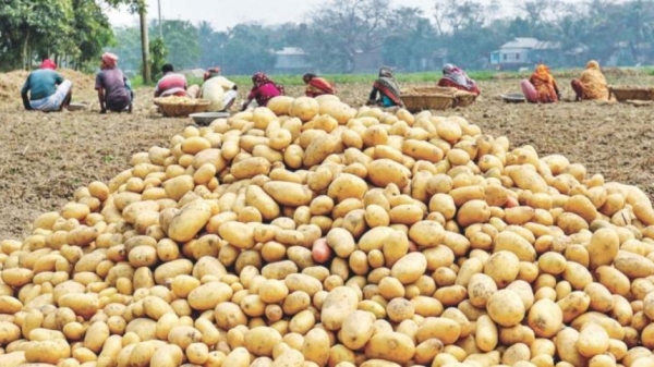In Last 10 Years, Nation Has Achieved Self-Sufficiency In Food: Agriculture Minister In Last 10 Years, Nation Has Achieved Self-Sufficiency In Food: Agriculture Minister