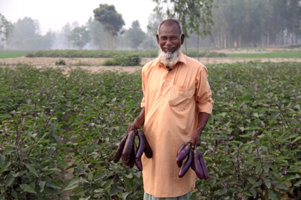 World Food Day: Post-Pandemic Food Security And Resilience In Ban