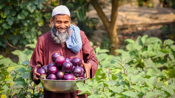 Agricultural Innovation Key To Food Security Agricultural Innovation Key To Food Security