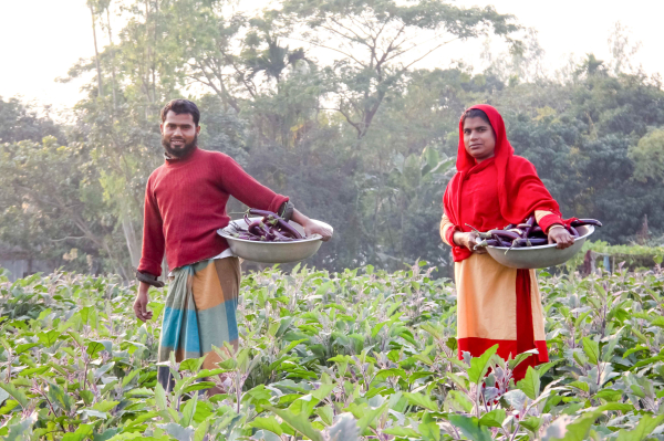 Relief to resilience: Bangladesh’s remarkable journey in biotechnology